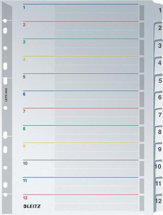 Actual product image Leitz Plastic register - rewritable