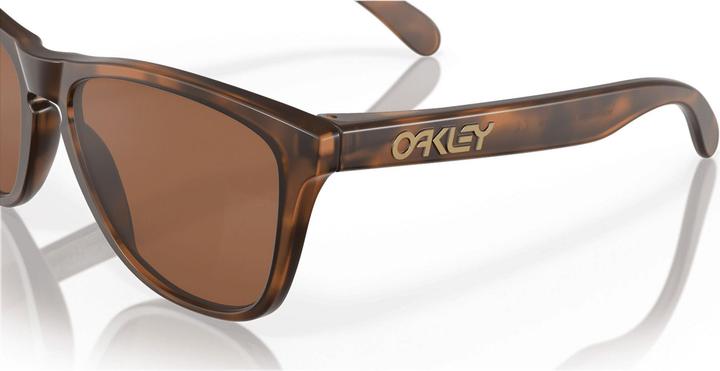Actual product image Oakley Frogskins Prizm