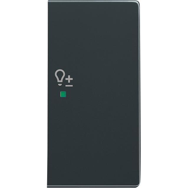 Busch-Jaeger, Programma di commutazione degli accessori, Bilanciere Busch-Jäger a 2 pieghe a destra, con simbolo "Dimmer" 6234-22-81