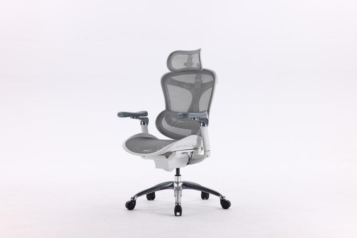 Sihoo Doro C300 Ergonomic Office Chair, White