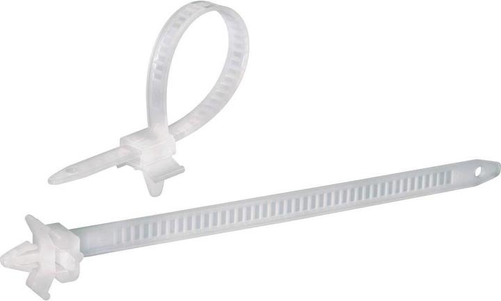 Produktbild Tru Components Kabelbinder 150 mm Natur mit S (Kunststoffkabelbinder, 150 mm, 100 Stk.)
