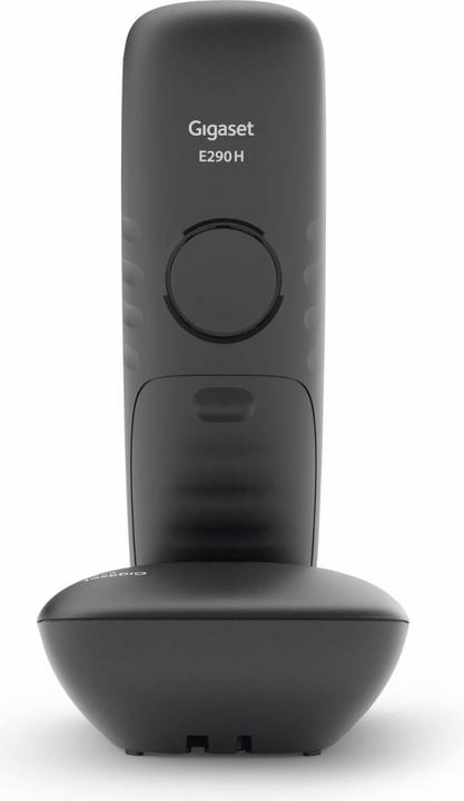 Produktbild Gigaset E290 Duo (DE-Version)