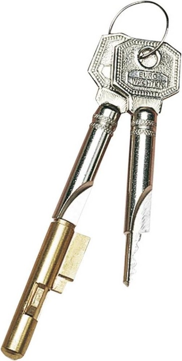 Actual product image Burg Wächter Cylinder keyhole lock (Profile double cylinder)