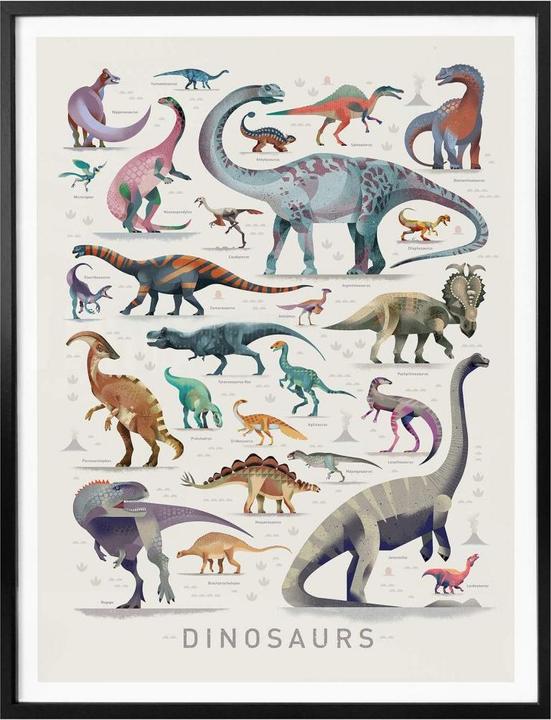 Produktbild Trenddeko Dinosaurs (60 x 80 cm)