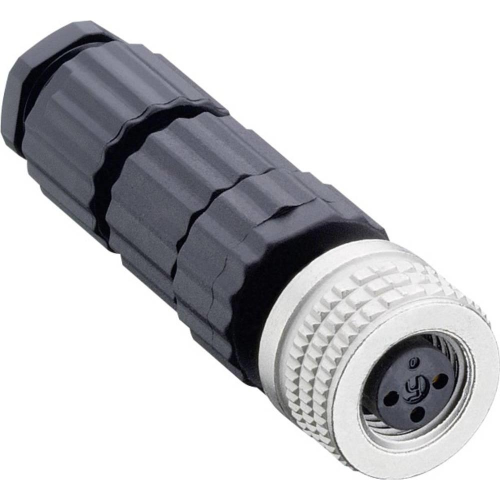 Hirschmann Konfektionierbarer M8-Steckver, Elektronikkabel + Stecker, Schwarz