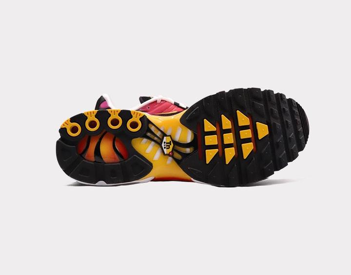 Image du produit Nike Air Max Plus (45)