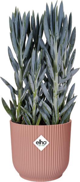 Produktbild Elho Vibes Fold (40 x 36 cm)