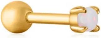 Produktbild Ania Haie Pearl Power Ohrstecker (Vergoldet, Silber 925)