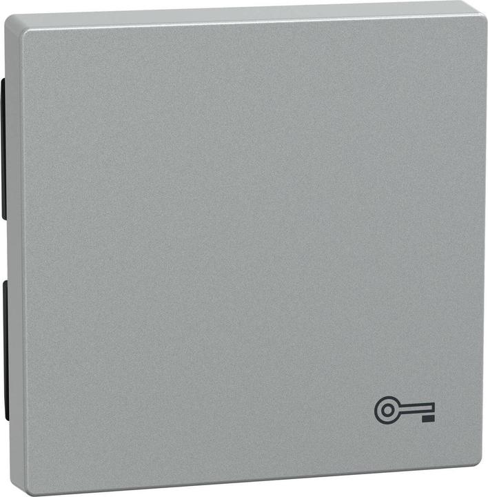 Actual product image Merten Rocker for identification key, MEG3303-0460
