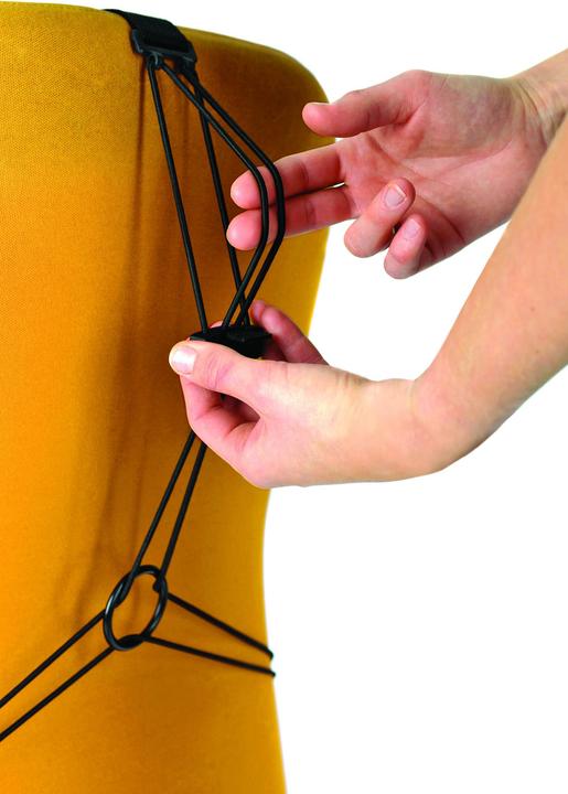 Immagine prodotto Fellowes Supporto per la schiena