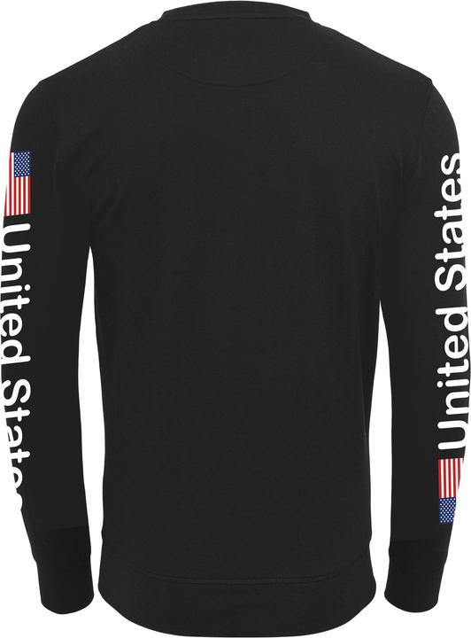 Actual product image Mister Tee NASA US Crewneck (XS)