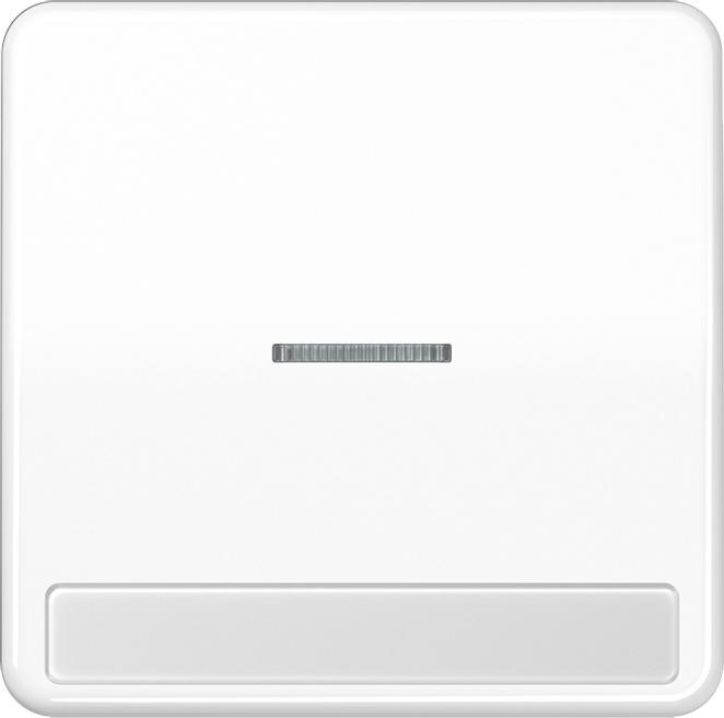 Actual product image JUNG Control rocker switch CD aws glz CD590NAKO5WW