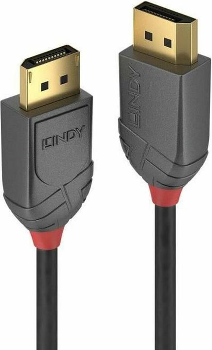 Immagine prodotto Lindy DisplayPort — DisplayPort (3 m)