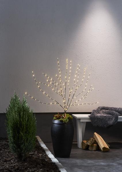 Produktbild Star Trading Decorativer Baum Reedy