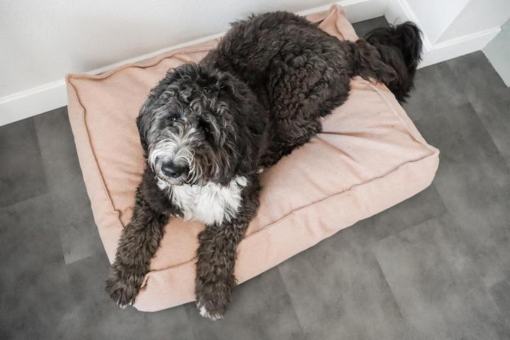 Produktbild Flamingo Baldar Orthopedisch Hondenbed â€“ Roze, 80 cm | Heerlijk Steunend & Zacht voor je Hond (Hund)