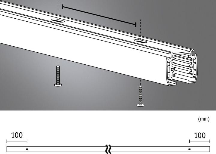 Actual product image Paulmann ProRail3 rail