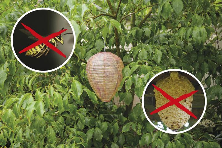 Actual product image Gardigo Wasp Nest Dummy