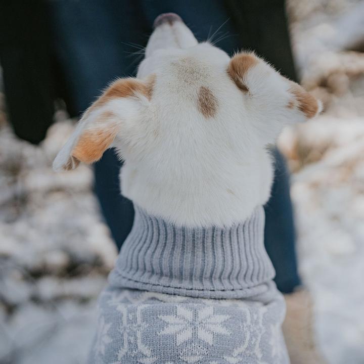 Actual product image Hunter Birka (45, Dog jumper)