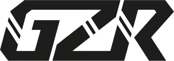 GZR Montagne monitor mount accessories, spare part (E-Bike Display)