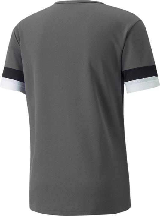 Actual product image Puma teamRISE Jersey-704932 (L)