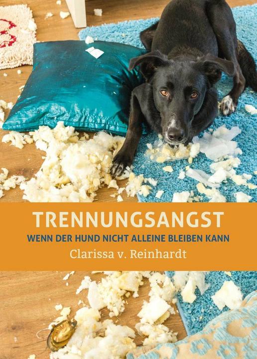 Produktbild Trennungsangst (Deutsch, Clarissa von Reinhardt, 2016)