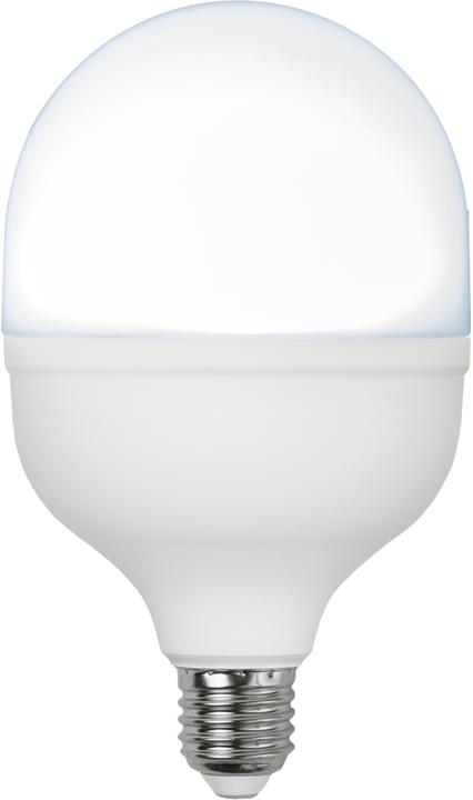 Light bulbs