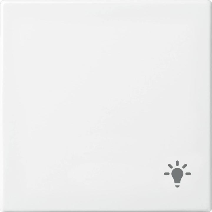 Actual product image Busch-Jaeger Rocker