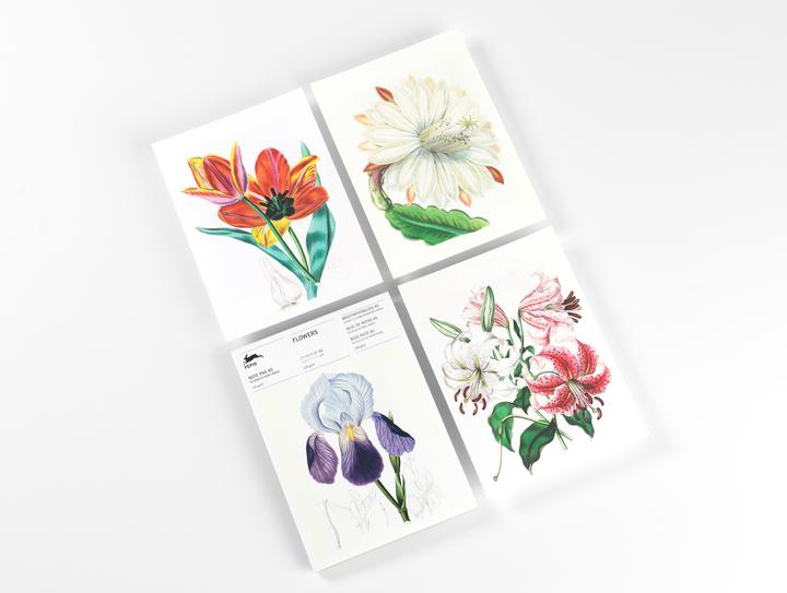 Actual product image Roojen:Flowers (A5, Lined)
