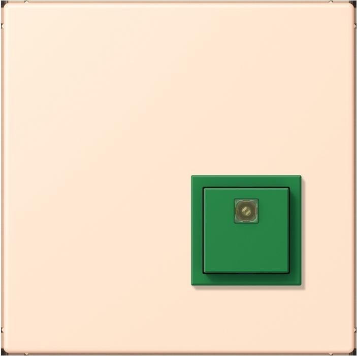 Actual product image JUNG Switch-off button