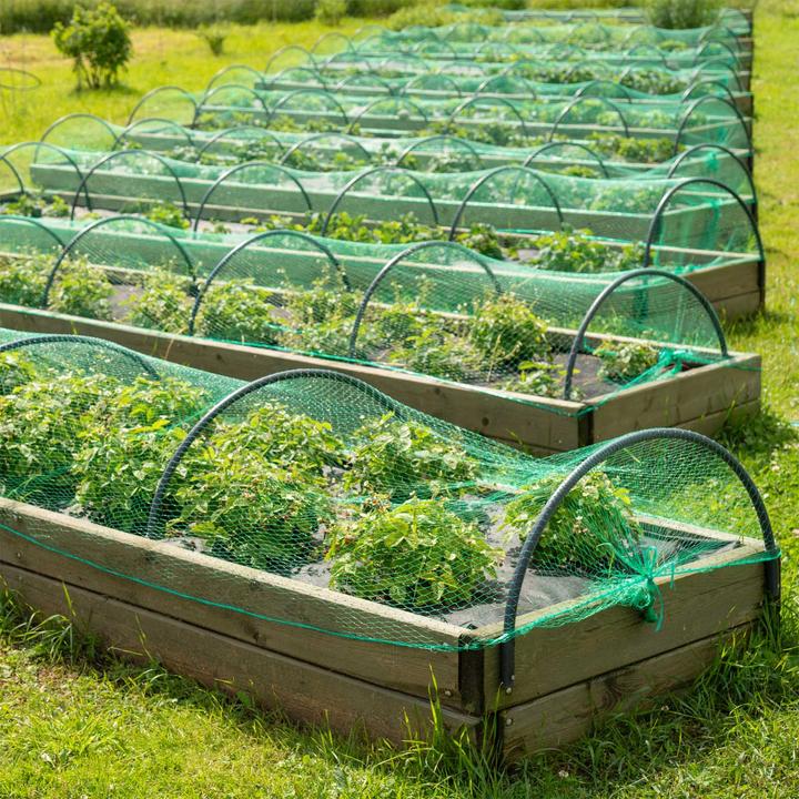 Actual product image Wiltec Anti Bird Protection Netting 4x10m with 15x15mm Mesh Size Made of Weather Resistant Polyethylene