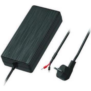 Teltonika EU 2-pin power supply 250W, Universalladegerät