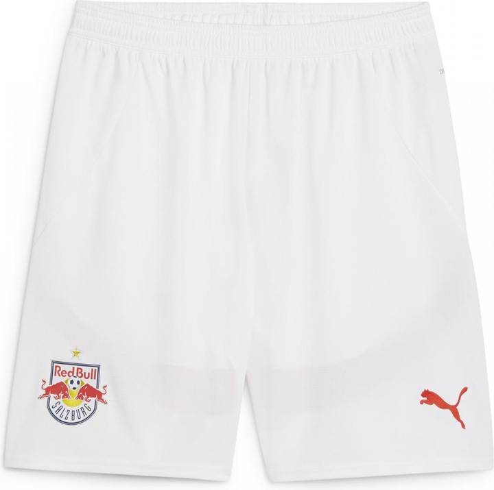 Actual product image Puma RBS Shorts Replica (M)