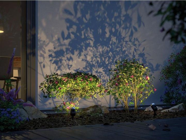 Produktbild Paulmann Outdoor Plug & Shine Pike Spot (170 lm, IP65)