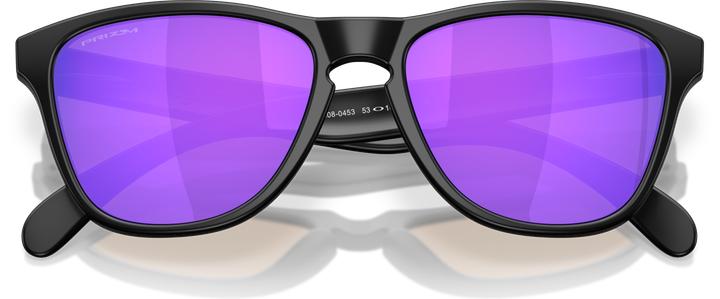 Produktbild Oakley Frogskins S