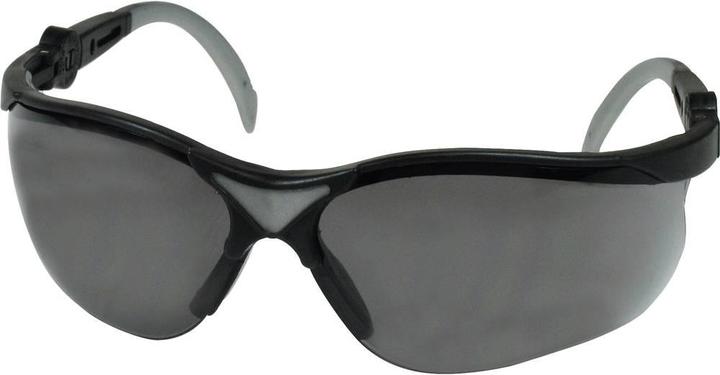 Image du produit Profi-X Lunettes de protection IONIC 26661SB Sch