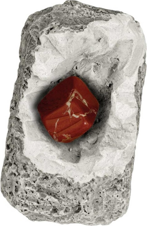 Produktbild Kosmos Fossil Mineralien & Fossilien