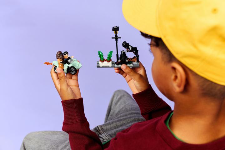 Actual product image LEGO Hagrids und Harrys Flucht aus dem Ligusterweg (76459, LEGO Harry Potter)