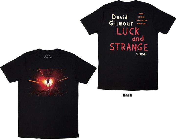 Actual product image David Gilmour Luck & Strange Stage Shot (L)