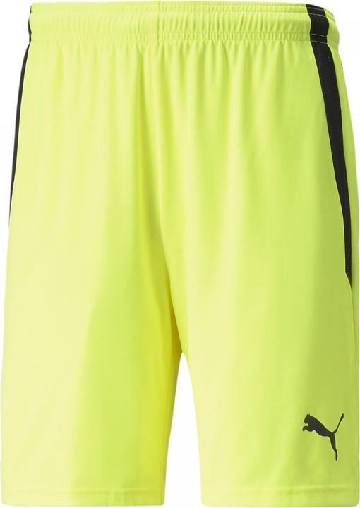 Image du produit Puma Short teamLIGA-704924 (M)