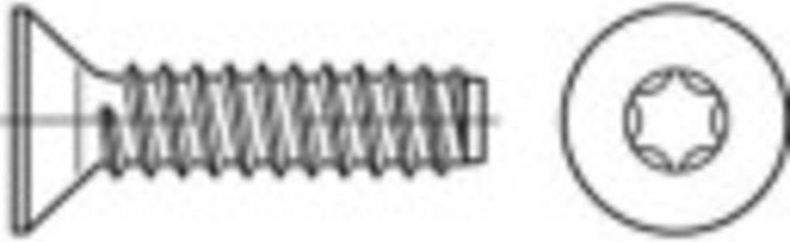 Immagine prodotto Toolcraft Viti autofilettanti a testa svasata 4,2 mm 45 m (500 Viti per pezzo)