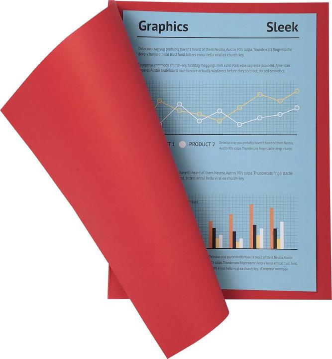 Immagine prodotto Exacompta Scrapbook - Copertine di file (A4, 100x)