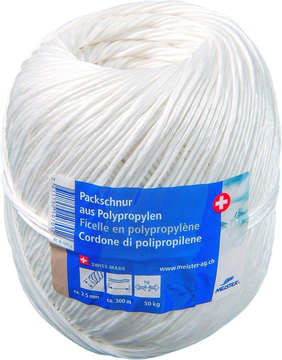 Actual product image Meister Packing cord flax Ø2.5mm (1 Piece)