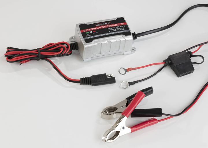 Actual product image Dino Automatic charger (12V, 6V, 0.75 A)