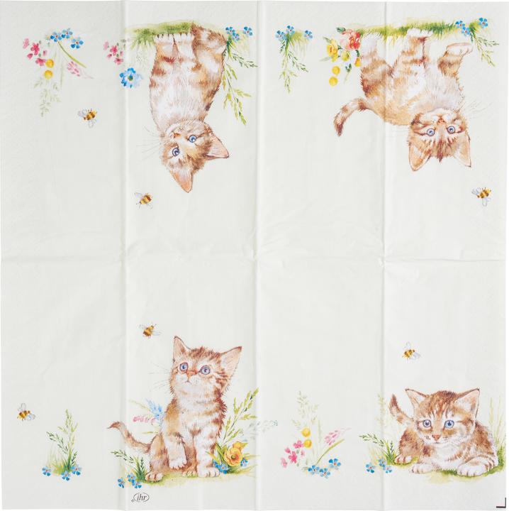Actual product image IHR Papiertaschentücher "Cat Kira"