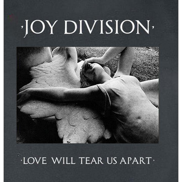 Image du produit Amplified Love Will Tear Us Apart T-shirt (XL)