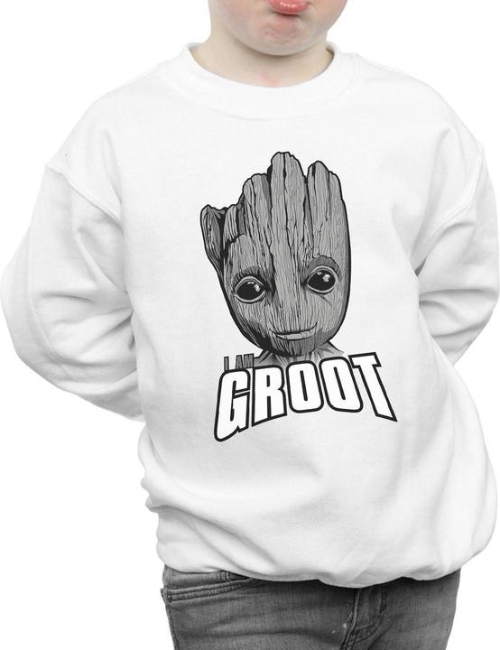 Image du produit - Sweat GUARDIANS OF THE GALAXY GROOT FACE - Garçon (152, 158)