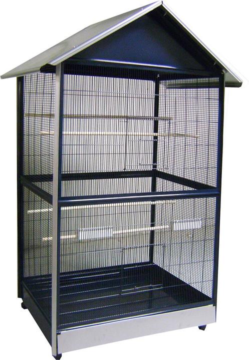 Flamingo Voliera Sinai