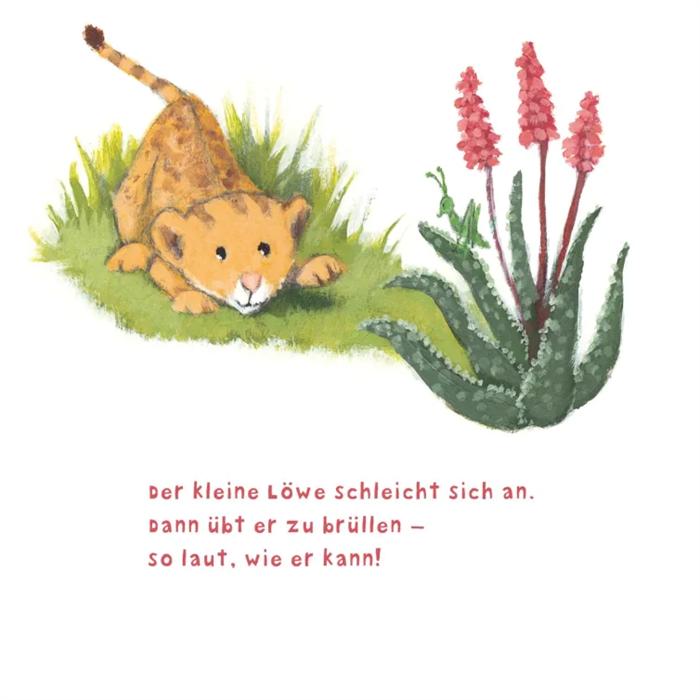 Actual product image Baby Pixi (unkaputtbar) 104: Der kleine Löwe (German, Susanne Lütje, 2021)