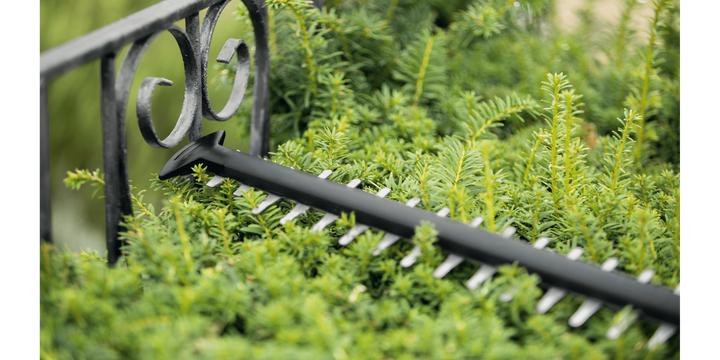 Actual product image Bosch Home & Garden 18V Battery Hedge Trimmer UniversalHedgeCut 18-55 (Rechargeable battery operated)