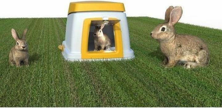 Actual product image Kerbl Bunny Base rabbitry complete set